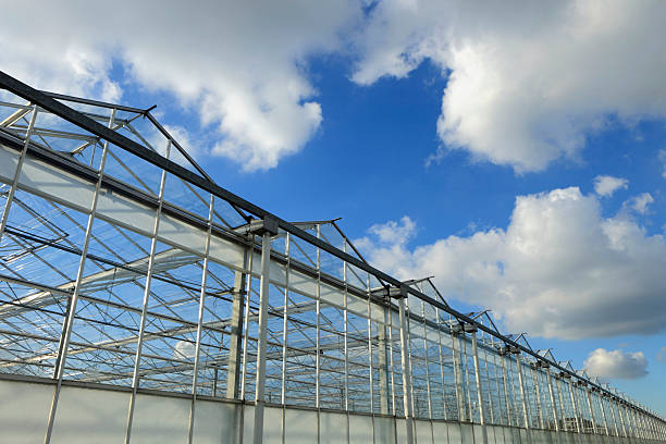istock side view of a greenhouse 183271996