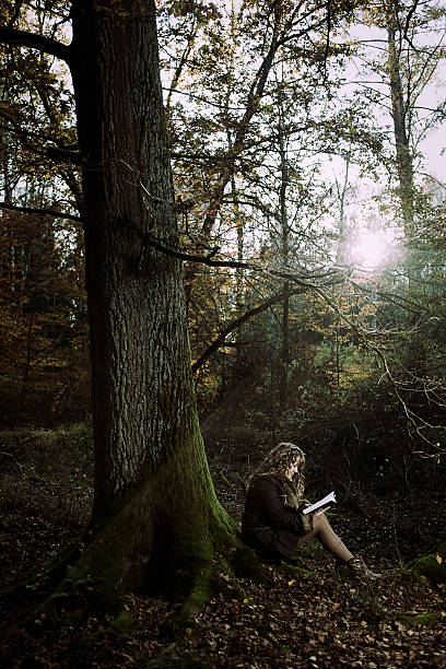 istock Young woman sitting under a tree and reading 183272375