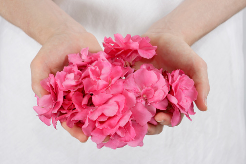 closeup of woman holding handful of pink flowers
