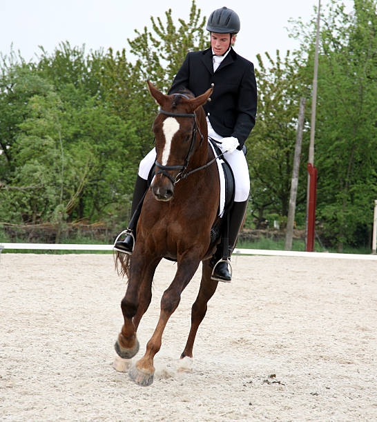 istock English horse riding 183272397