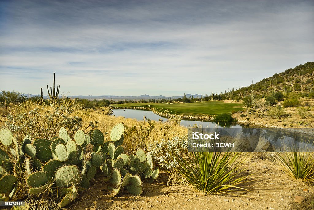 Wunderschöne Desert Golfplatz im Dove Mountain, Tucson - Lizenzfrei Tucson Stock-Foto