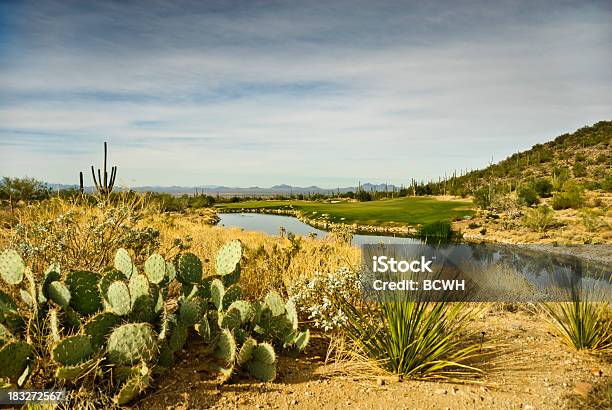 Wunderschöne Desert Golfplatz Im Dove Mountain Tucson Stockfoto und mehr Bilder von Tucson