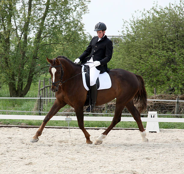 istock English horse riding 2 183272719