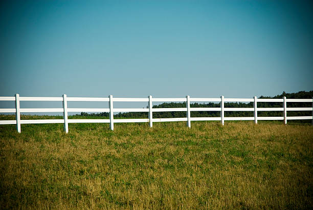 White horse stud farm fence with lush green grass