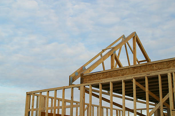 istock Building to the Sky, Carpentry, Lumber 183273150