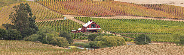 panorama-landschaft des napa valley - california napa valley vineyard farmhouse stock-fotos und bilder