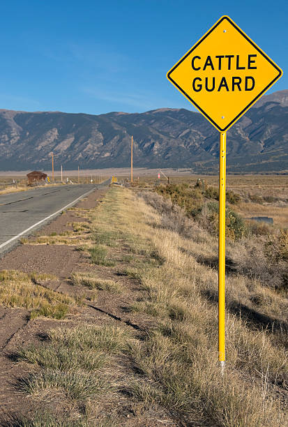 istock Sign warning vehicles of cattle guard in road 183273420