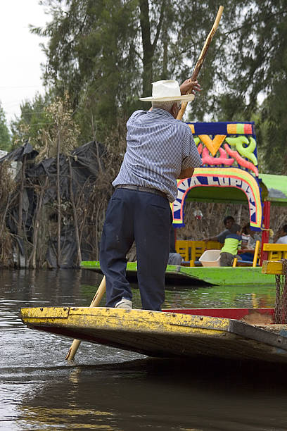 rower "rower in  mexican canoes called trajineras in Xochimilco Canal, south of mexico City.Similar images:" trajinera stock pictures, royalty-free photos & images