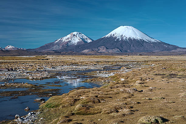 istock Parinacota Volcano in Lauca National Park, Chile 183273658