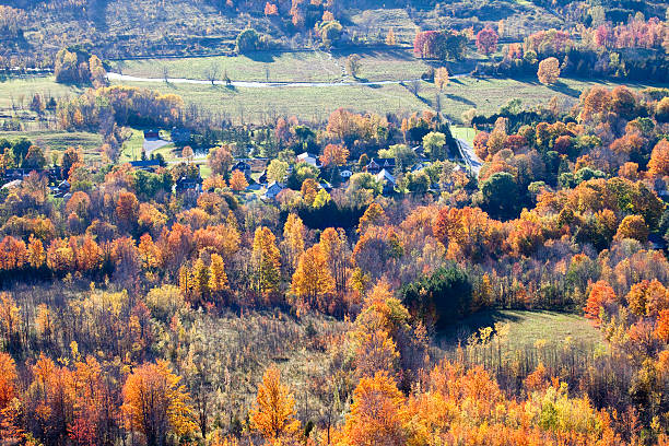 istock Fall Colours Of Ontario 183273771