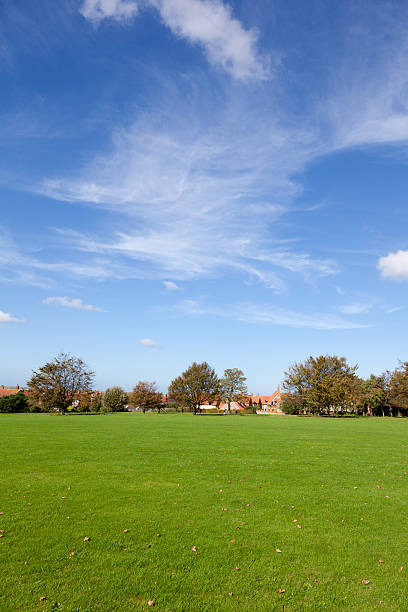 istock Large area of green grass and a blue summer sky 183273799