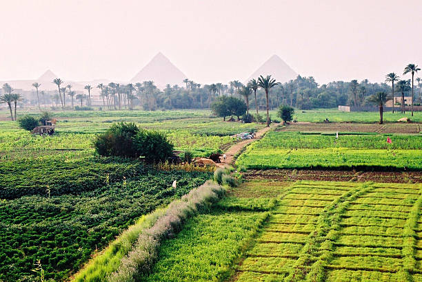 grandes pirámides de giza - pyramid of chephren fotografías e imágenes de stock