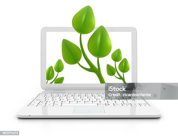 노트북잎 3차원 형태에 대한 스톡 사진 및 기타 이미지 - 3차원 형태, 잎, 녹색