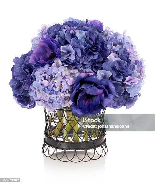 Azul Hydrangeas Y Anemones Sobre Fondo Blanco Foto de stock y más banco de imágenes de Fondo blanco - Fondo blanco, Hortensia, Anémona - Familia del Ranúnculo