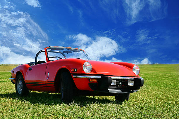 Convertible in a meadow