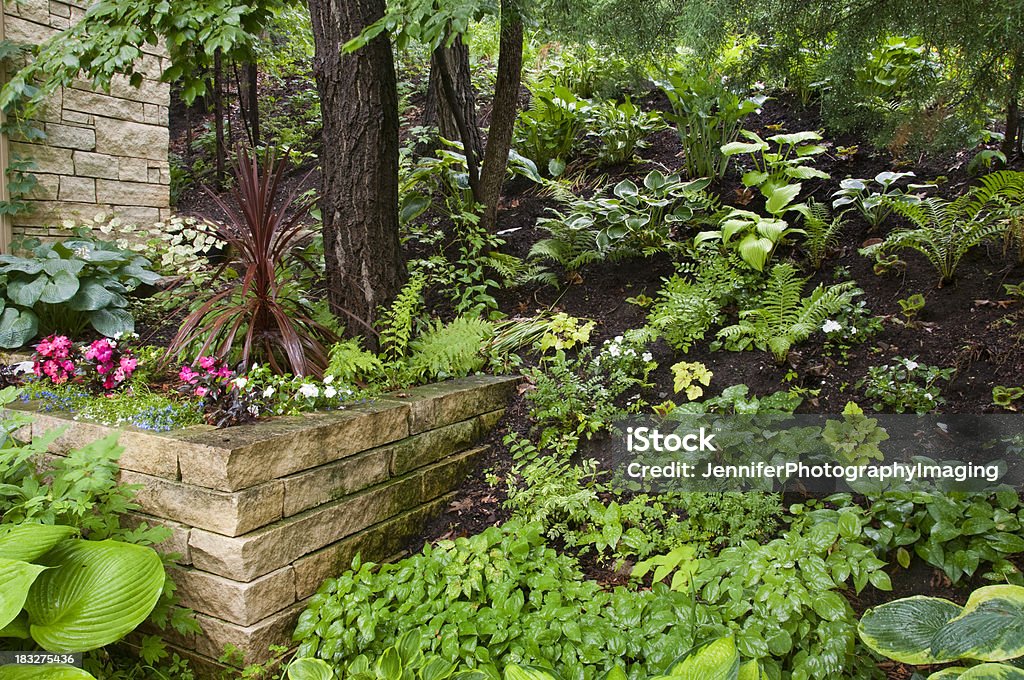 Magnifique ombre sur le jardin - Photo de Parterre de fleurs libre de droits