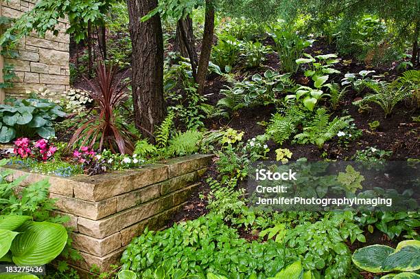 아름다운 섀이드 정원 그늘에 대한 스톡 사진 및 기타 이미지 - 그늘, 화단, 옥잠화