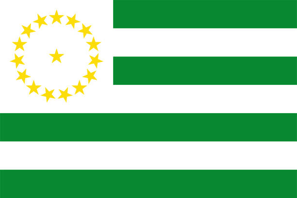 Flag of Caqueta Department (Republic of Colombia, South America) Caquetá Flag of Caqueta Department (Republic of Colombia, South America) Caquetá caqueta stock illustrations
