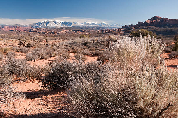 istock Desert Landscape in Arches National Park, Utah 183275566
