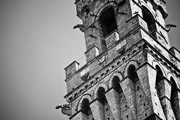 istock Tower of Siena, Tuscany 183275724