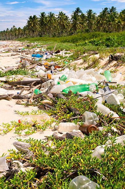 istock Ocean Dumping - Total pollution on a Tropical beach 183275810