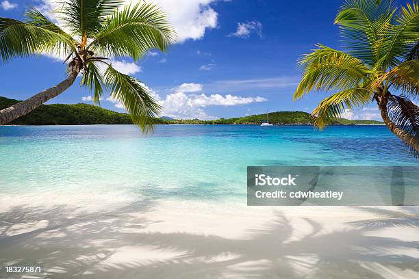 Palme Sulla Spiaggia Tropicale Nelle Isole Vergini - Fotografie stock e altre immagini di Spiaggia - Spiaggia, Caraibi, Mar dei Caraibi
