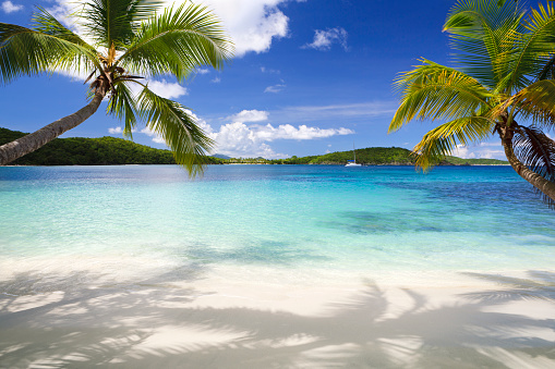 beautiful tropical beach in the Virgin Islands with palm trees on both sidesview my seascape images: