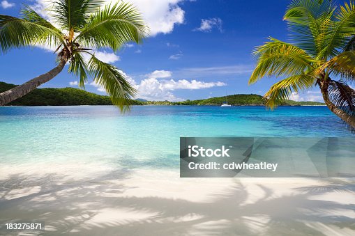 istock Palm trees on tropical beach in the Virgin Islands 183275871