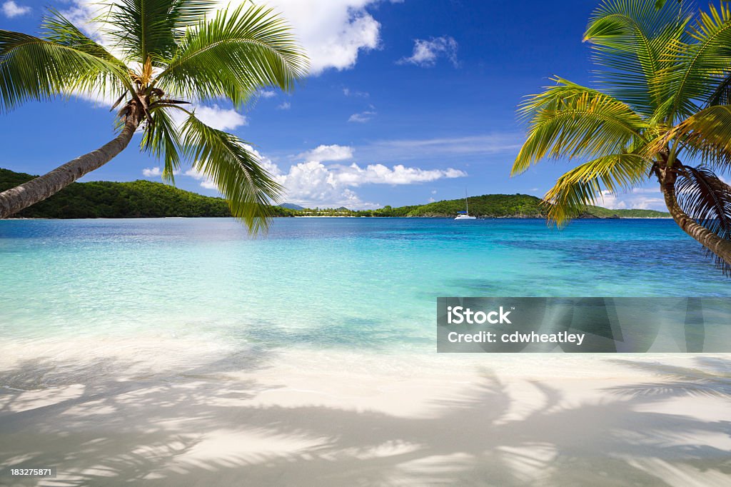 Пальмовые деревья на тропическом пляже в Виргинские острова - Стоковые фото Пляж роялти-фри