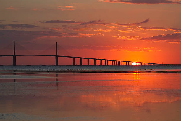 The sun is getting ready to rise over the Skyway Bridge over Tampa Bay.