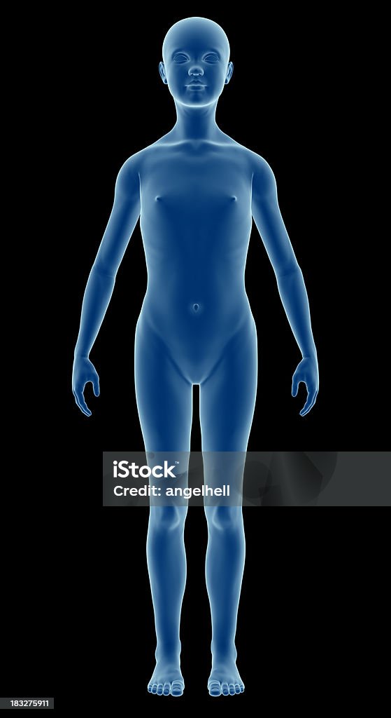 Ludzkie ciało dziecka w badaniu, model dziewczyna. - Zbiór zdjęć royalty-free (Anatomia człowieka)