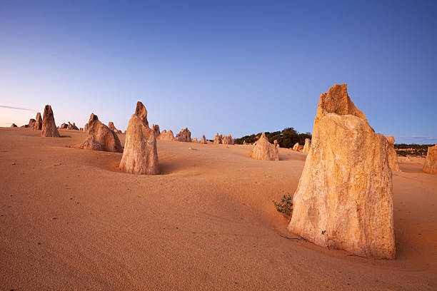 pôr do sol no deserto dos pináculos, parque nacional de nambung, austrália - nambung national park imagens e fotografias de stock