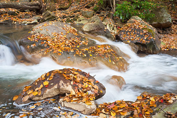 Tranquillo Fall Creek - foto stock