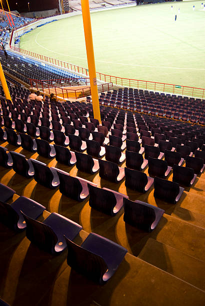 beausejours campi da cricket-stadio di notte - grass family vertical simplicity plant foto e immagini stock