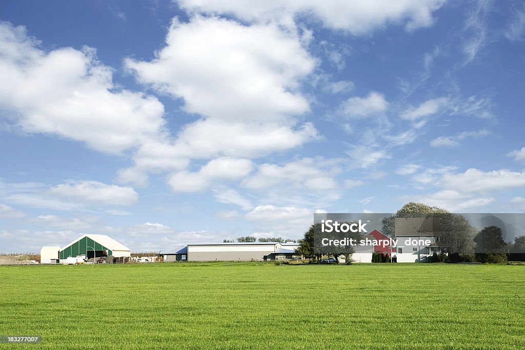 XXL été farm - Photo de Ferme - Aménagement de l'espace libre de droits