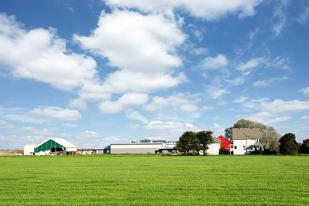 azienda agricola di estate xxl - nebraska midwest usa farm prairie foto e immagini stock