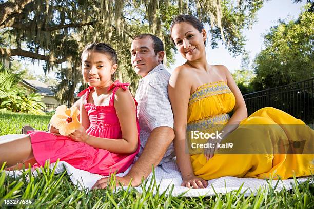 Hispanische Familie Zusammen Auf Decke Sitzend Im Gras Stockfoto und mehr Bilder von 8-9 Jahre