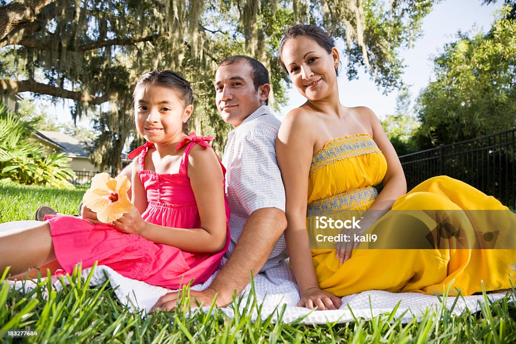 Família hispânica estar juntos em cobertor na grama - Foto de stock de 30 Anos royalty-free