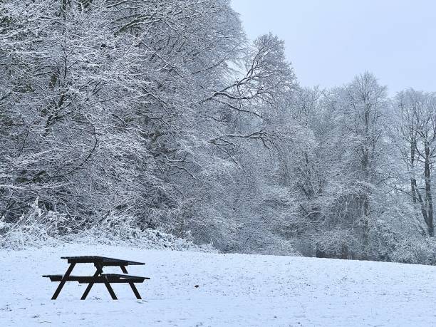 An empty park bench in the snow at Jesmond Dene An empty park bench in the snow at Jesmond Dene jesmond stock pictures, royalty-free photos & images