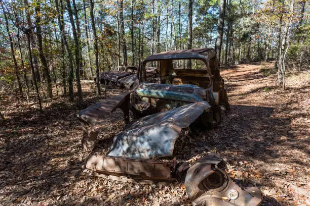 Photo of Vintage American cars left to rot in wooded area