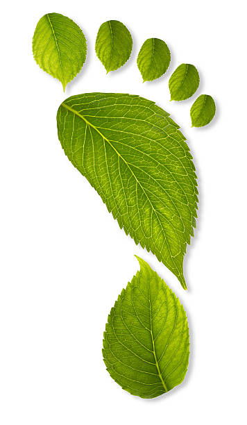 huella de carbono concepto xxxl - carbon dioxide environment leaf climate fotografías e imágenes de stock