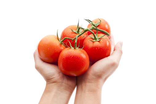 Offering organically grown tomato.