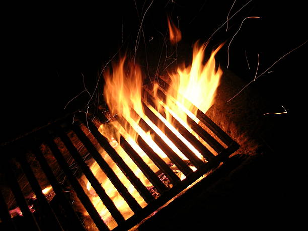 Barbecue Shot stock photo