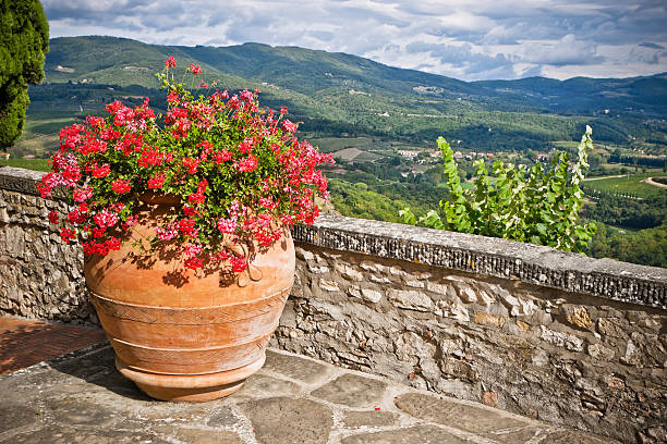 istock Big Terracotta Vase with Red Geraniums, Tuscany 183279023