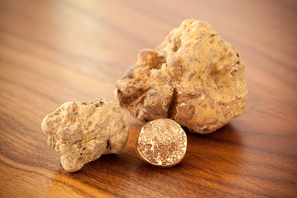White truffles on wood stock photo