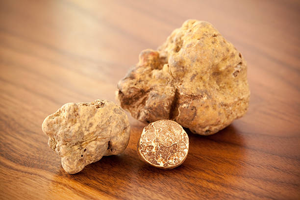 trufas sobre madeira branca - white truffle imagens e fotografias de stock