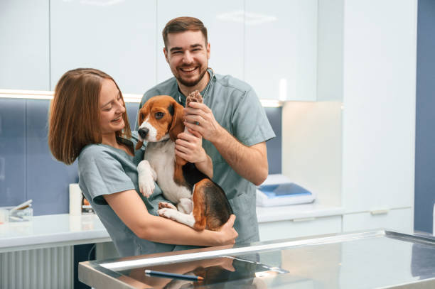 istock Check up day. Dog in veterinary clinic with two doctors 1832791247