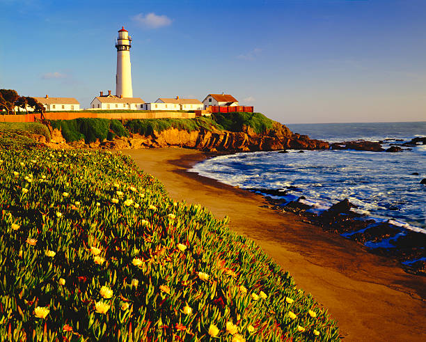 pigeon point lighthouse en la costa de california - pigeon point lighthouse fotografías e imágenes de stock