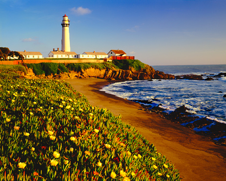 Rocky shoreline at Pigeon Point Lighthouse, California