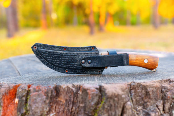 istock Close-up of a Hunting Knife Placed on a Tree Stump 1832797282